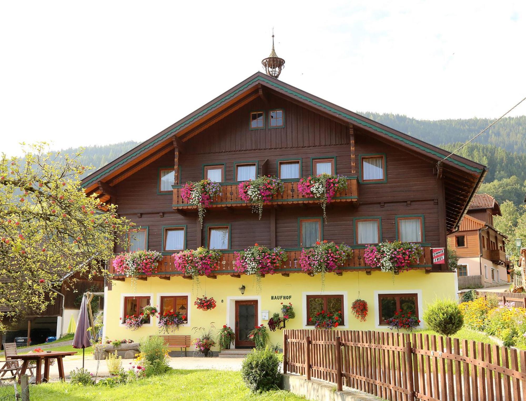 Haufhof-Pension Am Bauernhof, Haus Im Ennstal Bei Schladming ภายนอก รูปภาพ