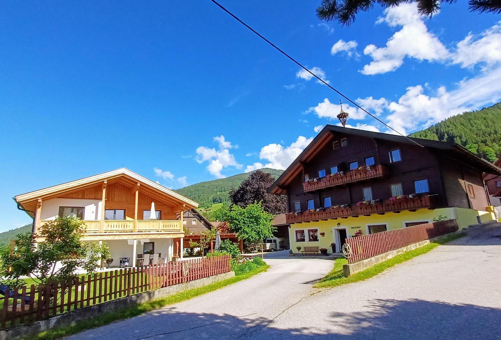 Haufhof-Pension Am Bauernhof, Haus Im Ennstal Bei Schladming ภายนอก รูปภาพ